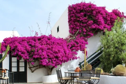 Spanje Hotel Caserío de Mozaga