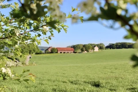 Boerderij Nederland Limburg 4-personen