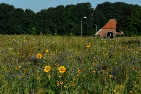 Boerderij Nederland Overijssel 2-personen