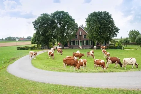 Boerderij Nederland Zuid-Holland 2-personen