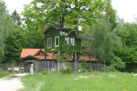 Boomhut Slovenië Centraal-Slovenië 4-personen