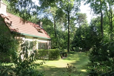 Bungalow Nederland Gelderland 4-personen