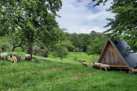 Cabin Nederland Limburg 2-personen