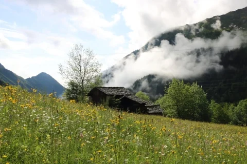 Chalet Italië Aosta Vallei 5-personen