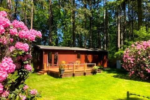 Chalet Nederland Gelderland 4-personen