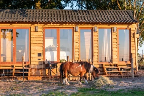 Tiny house België West-Vlaanderen 2-personen