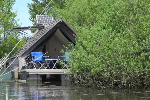 Tiny house Nederland Noord-Holland 4-personen