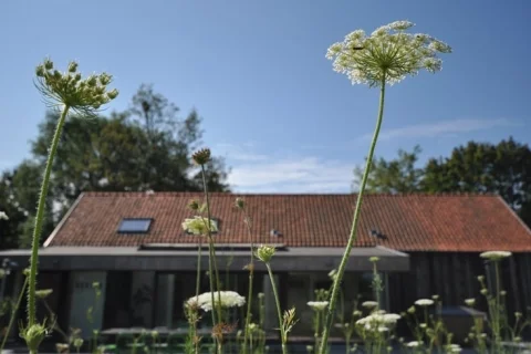 Vakantiehuis België Oost-Vlaanderen 10-personen