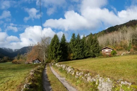 Vakantiehuis Frankrijk Grand-Est 8-personen