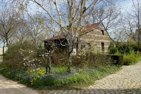 Vakantiehuis Nederland Limburg 6-personen