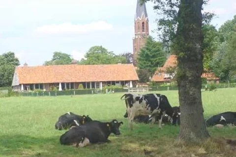 Vakantiehuis Nederland Overijssel 5-personen