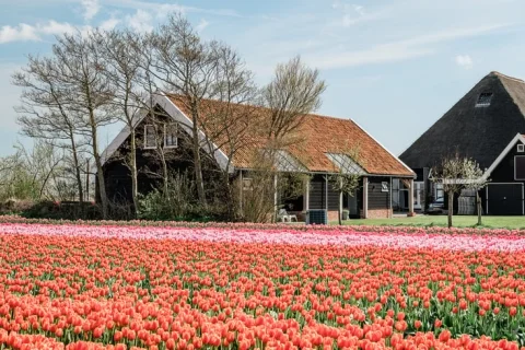 Vakantiehuis Nederland Noord-Holland 10-personen