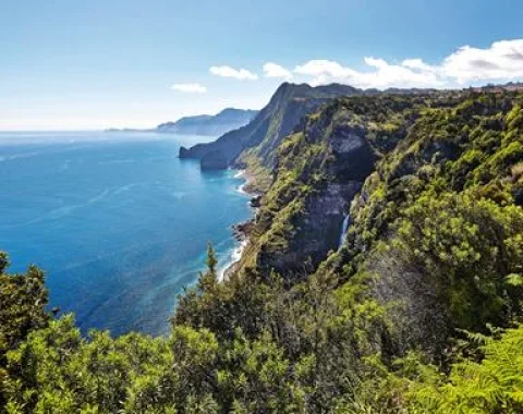  Portugal Madeira foto