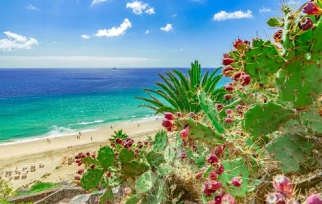  Portugal Fuerteventura foto