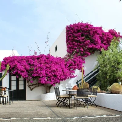 Spanje Hotel Caserío de Mozaga