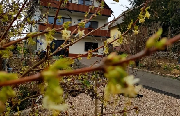 Appartement Duitsland Rijnland-Palts 6-personen