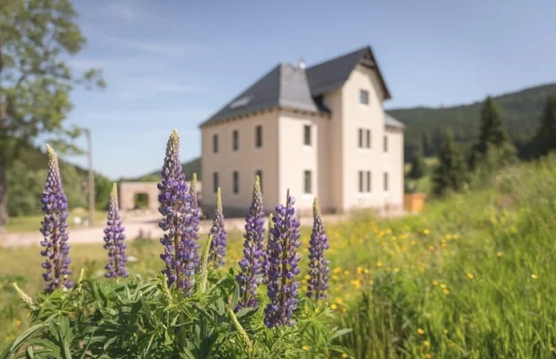 Appartement Duitsland Saksen 2-personen