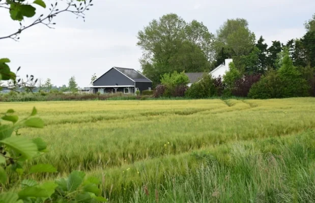 Appartement Nederland Zeeland 6-personen