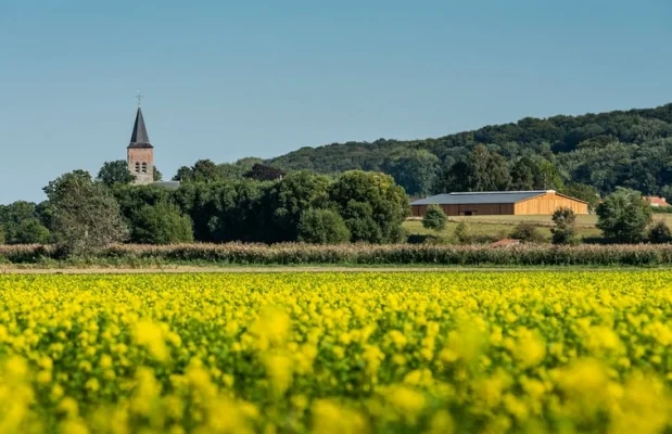 B&B België Oost-Vlaanderen 5-personen