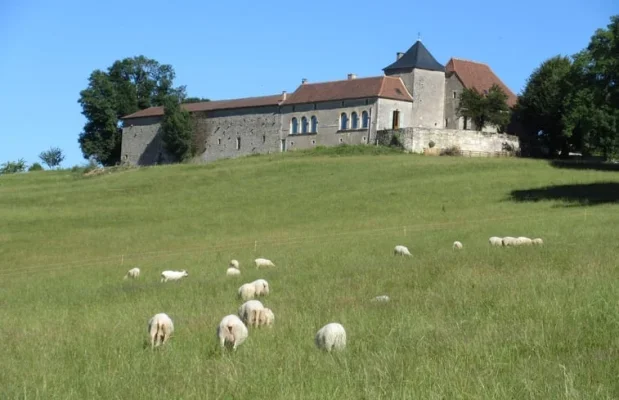 B&B Frankrijk Nieuw-Aquitaine 6-personen