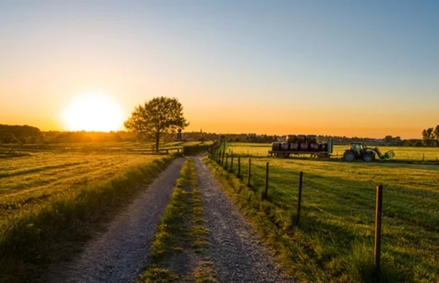 Boerderij België Oost-Vlaanderen 2-personen