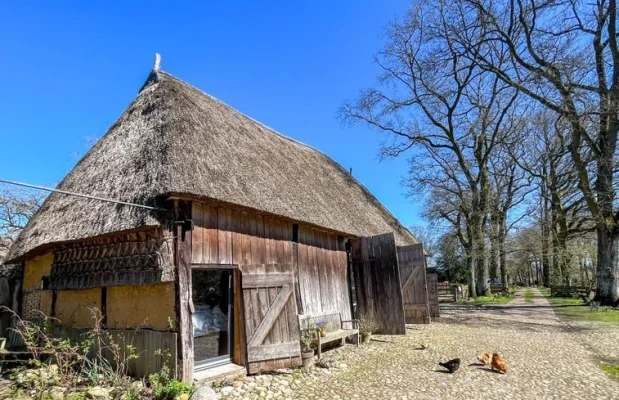 Boerderij Nederland Drenthe 6-personen