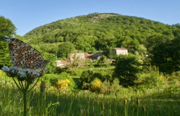 Boerderij Frankrijk Languedoc-Roussillon 7-personen