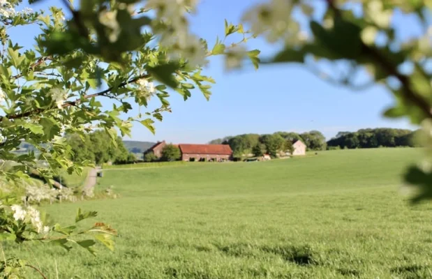 Boerderij Nederland Limburg 2-personen