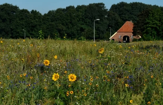 Boerderij Nederland Overijssel 2-personen