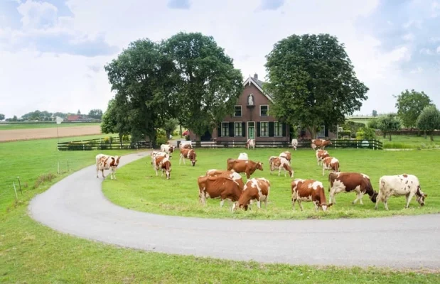 Boerderij Nederland Zuid-Holland 4-personen