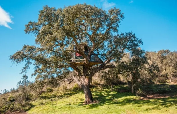 Boomhut Portugal Alentejo 3-personen