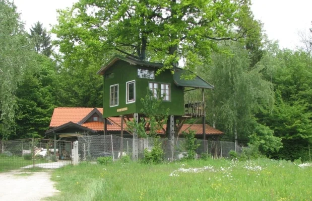 Boomhut Slovenië Centraal-Slovenië 4-personen