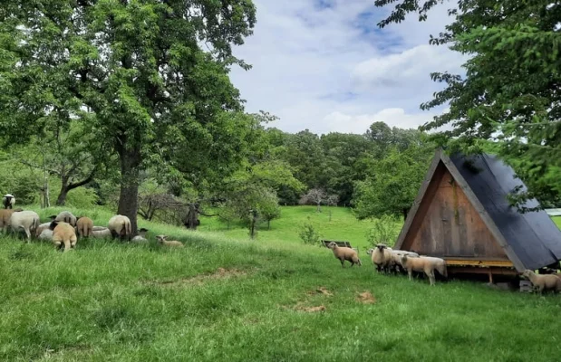 Cabin Nederland Limburg 2-personen