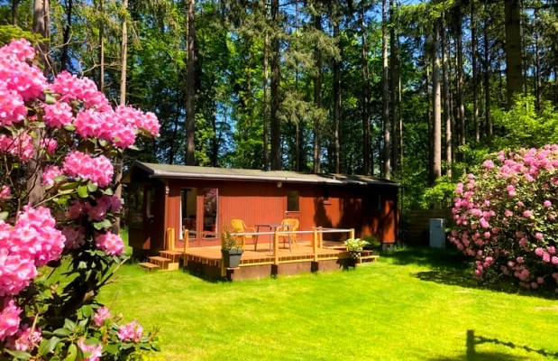 Chalet Nederland Gelderland 4-personen