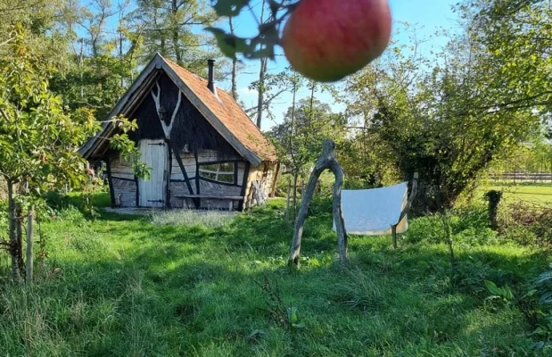 Tiny house Nederland Gelderland 2-personen