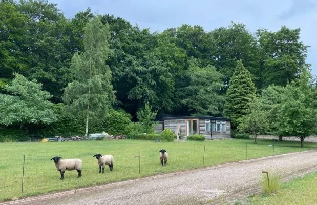 Tiny house Nederland Noord-Brabant 4-personen