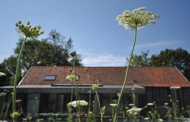 Vakantiehuis België Oost-Vlaanderen 10-personen