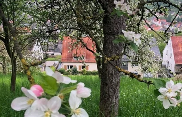 Vakantiehuis Duitsland Noordrijn-Westfalen 10-personen