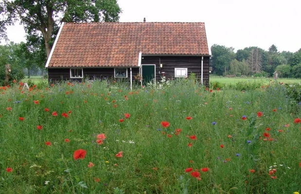 Vakantiehuis Nederland Drenthe 2-personen