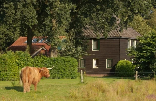 Vakantiehuis Nederland Drenthe 4-personen