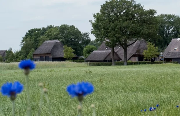 Vakantiehuis Nederland Drenthe 4-personen