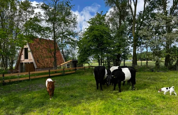 Vakantiehuis Nederland Groningen 3-personen