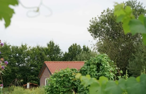 Vakantiehuis Nederland Limburg 5-personen