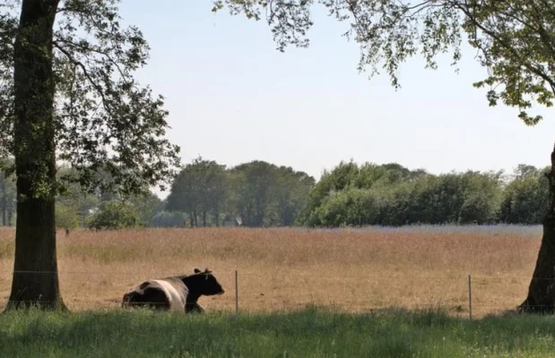 Vakantiehuis Nederland Overijssel 4-personen