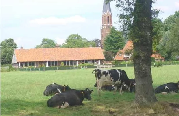 Vakantiehuis Nederland Overijssel 5-personen