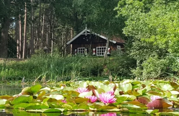 Vakantiehuis Nederland Overijssel 5-personen