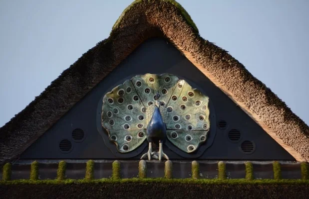 Vakantiehuis Nederland Zeeland 5-personen