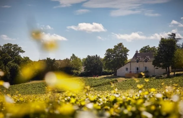 Villa Frankrijk Bourgogne-Franche-Comté 7-personen