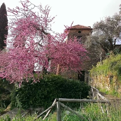 Italië Agriturismo Il Vecchio Casale foto