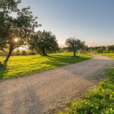 Italië Masseria Della Volpe foto